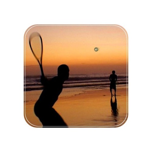 Speedminton