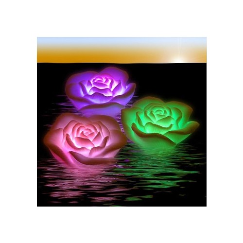 Roses Flottantes Osiris