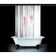 Rideau Psychose