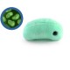 Microbes Géants