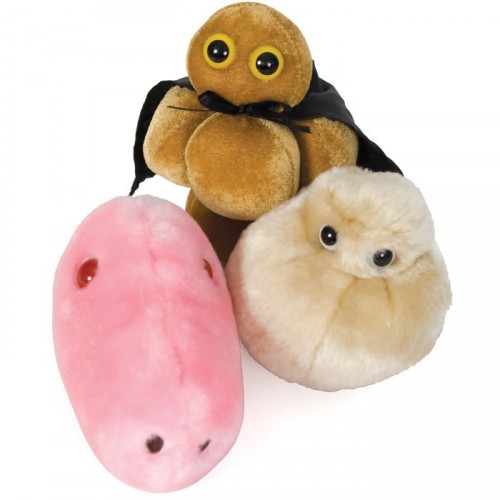 Microbes G&eacute;ants