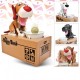 Tirelire Doggy Bank