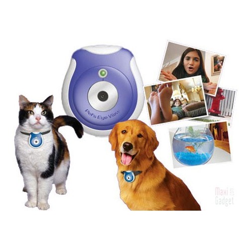 Collier Pet&rsquo;s Eye View