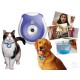 Collier Pet’s Eye View