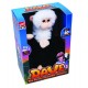 Dave, le Singe Funky