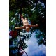 Mangeoire saut à l'elastique -Bungee bird feeder