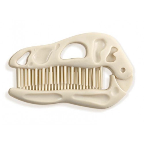 Peigne fossile-Bonhead comb
