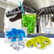 Fossiliced-bac a glacons fossiles