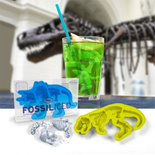 Fossiliced- bac a glacons fossiles