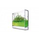 Super plantarium
