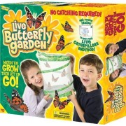Live Butterfly Garden