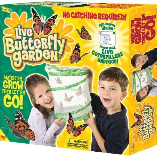 Butterfly Live Garden - Le Jardin Des Papillons