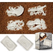 Fossilfood