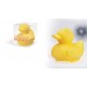 Scrubber Ducky