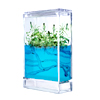 Voir la fiche produit de Antquarium Forest