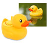 Voir la fiche produit de Radio Duck