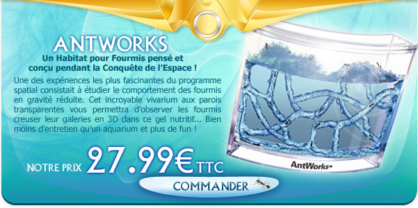 Antworks