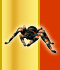 Tarentule RC